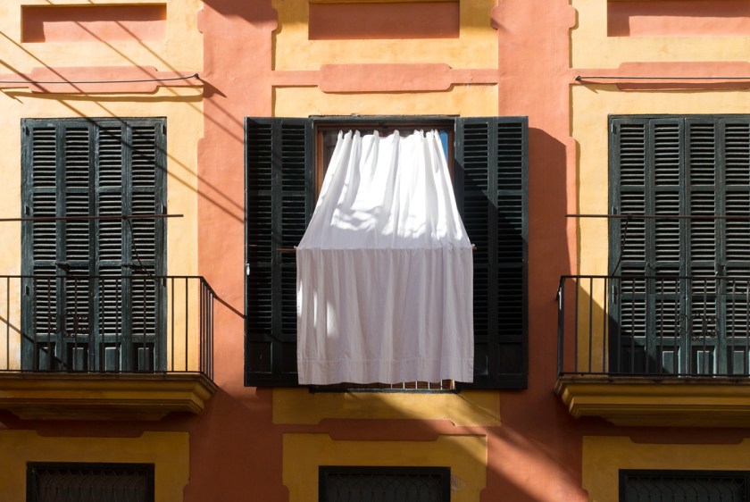 Mall_palmawindow_web